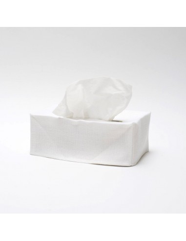 Pañuelos tissues 100 uds - 